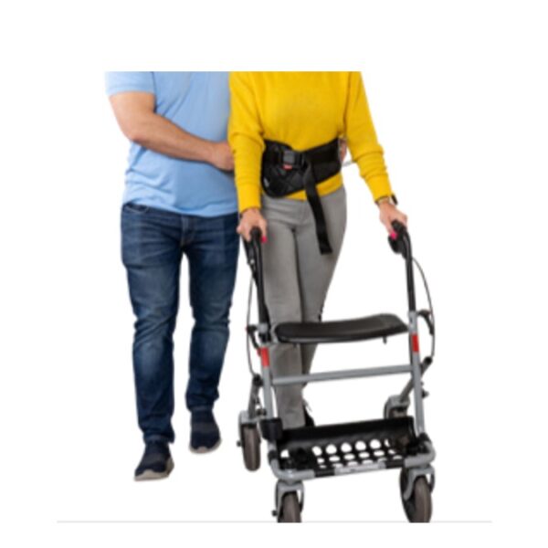 Master Belt Multi Velour - S