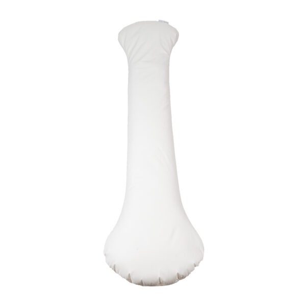 Master Comfort Sleep